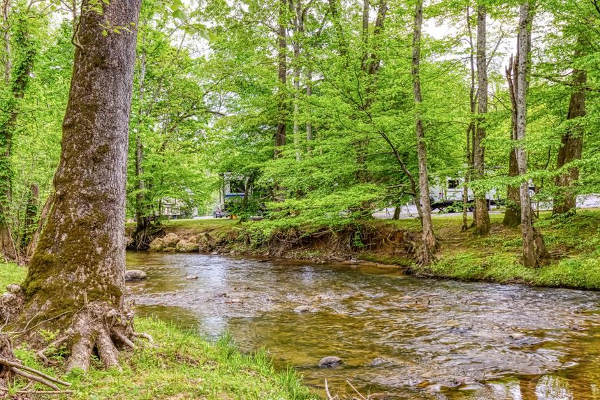 Creekside Cottage
